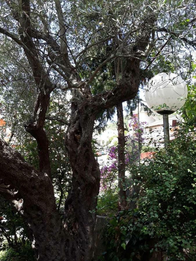 Appartamento Seahaven Petrovazzo Esterno foto